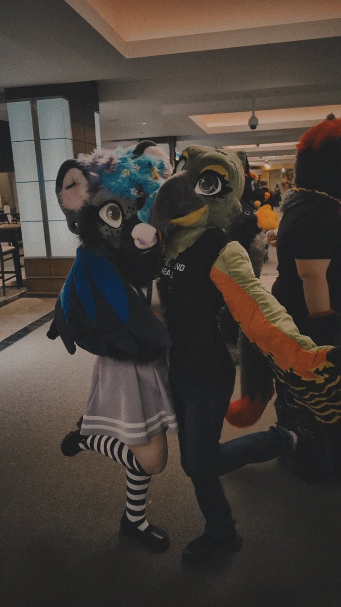 OllieTheYeen➡️FE🐋🐬➡️ CANFURENCE🦊🐾 tweet media