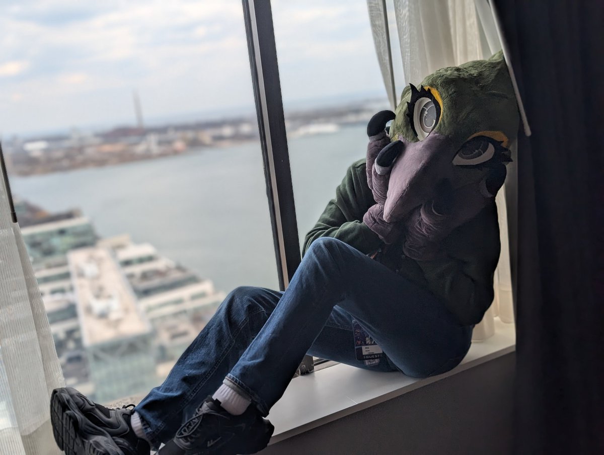 OllieTheYeen➡️FE🐋🐬➡️ CANFURENCE🦊🐾 tweet media