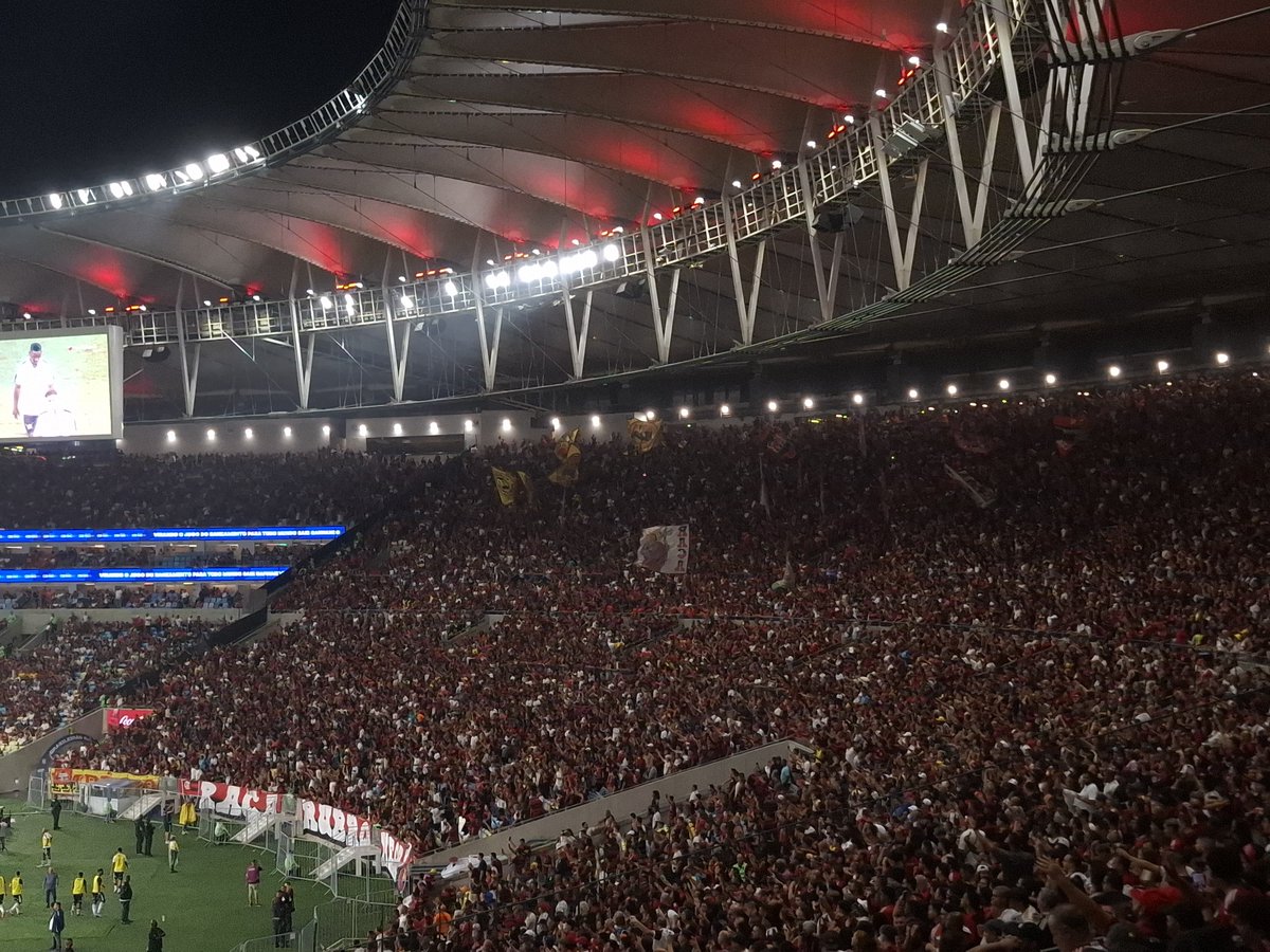 A imponente Raça Rubro-Negra. Inacreditável pensar que ficamos tanto tempo sem o Pulmão da Arquibancada em seu devido lugar.