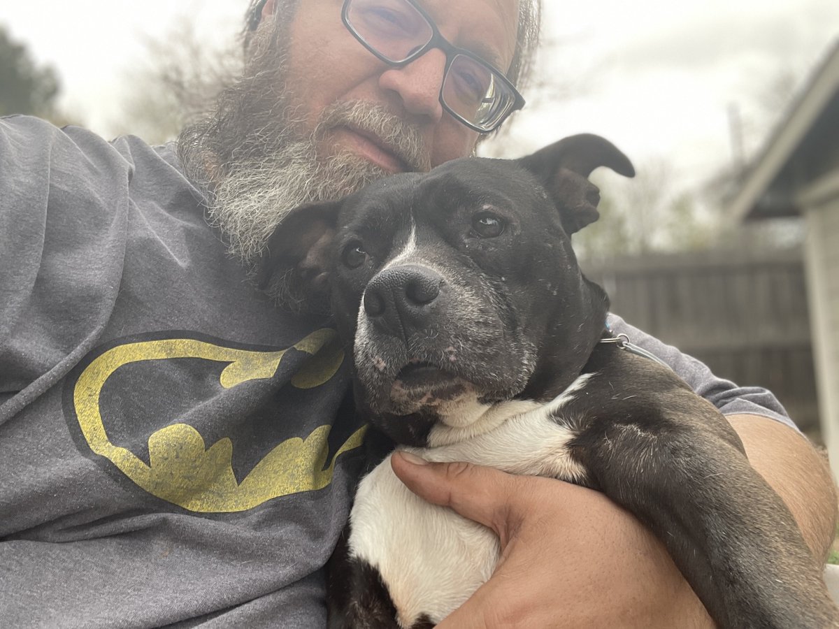 Dave “Bear” Wilberforce tweet media