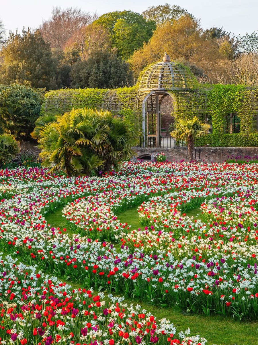 Purely Green tweet media