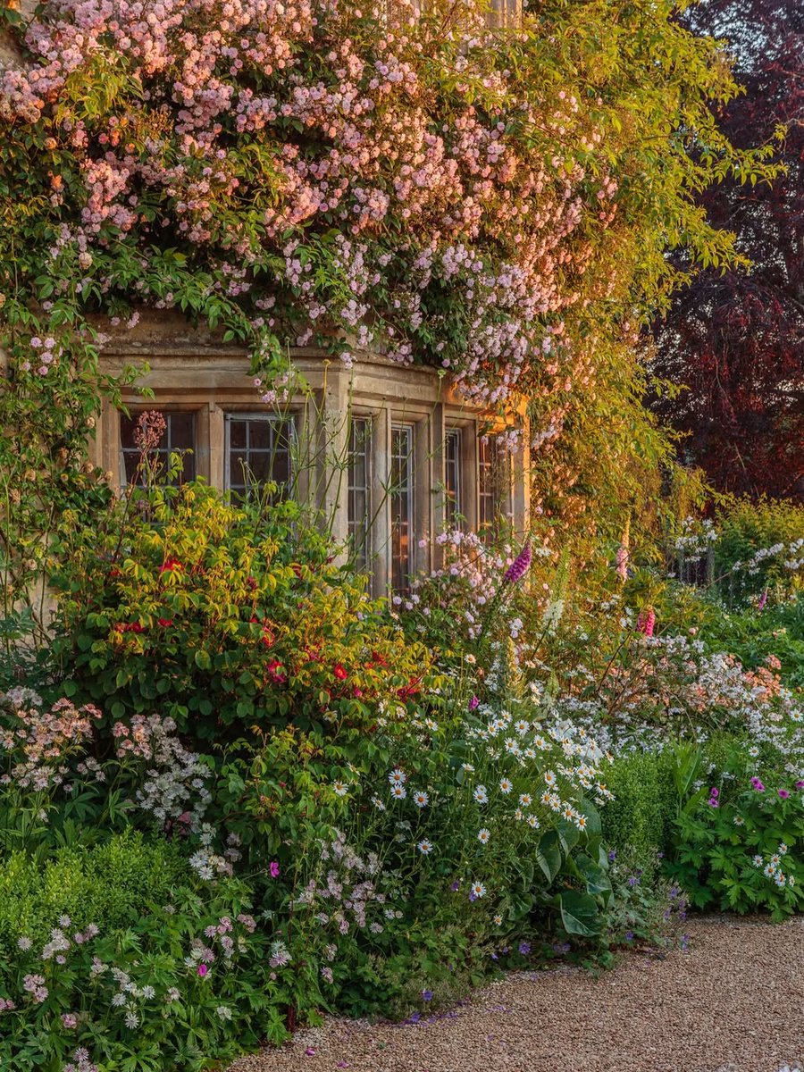 Purely Green tweet media