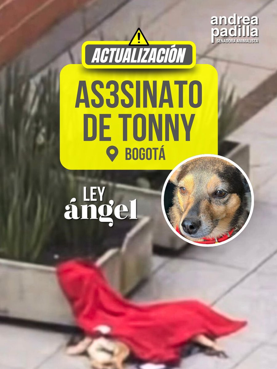 Andrea Padilla Villarraga 🪽🐾 tweet media