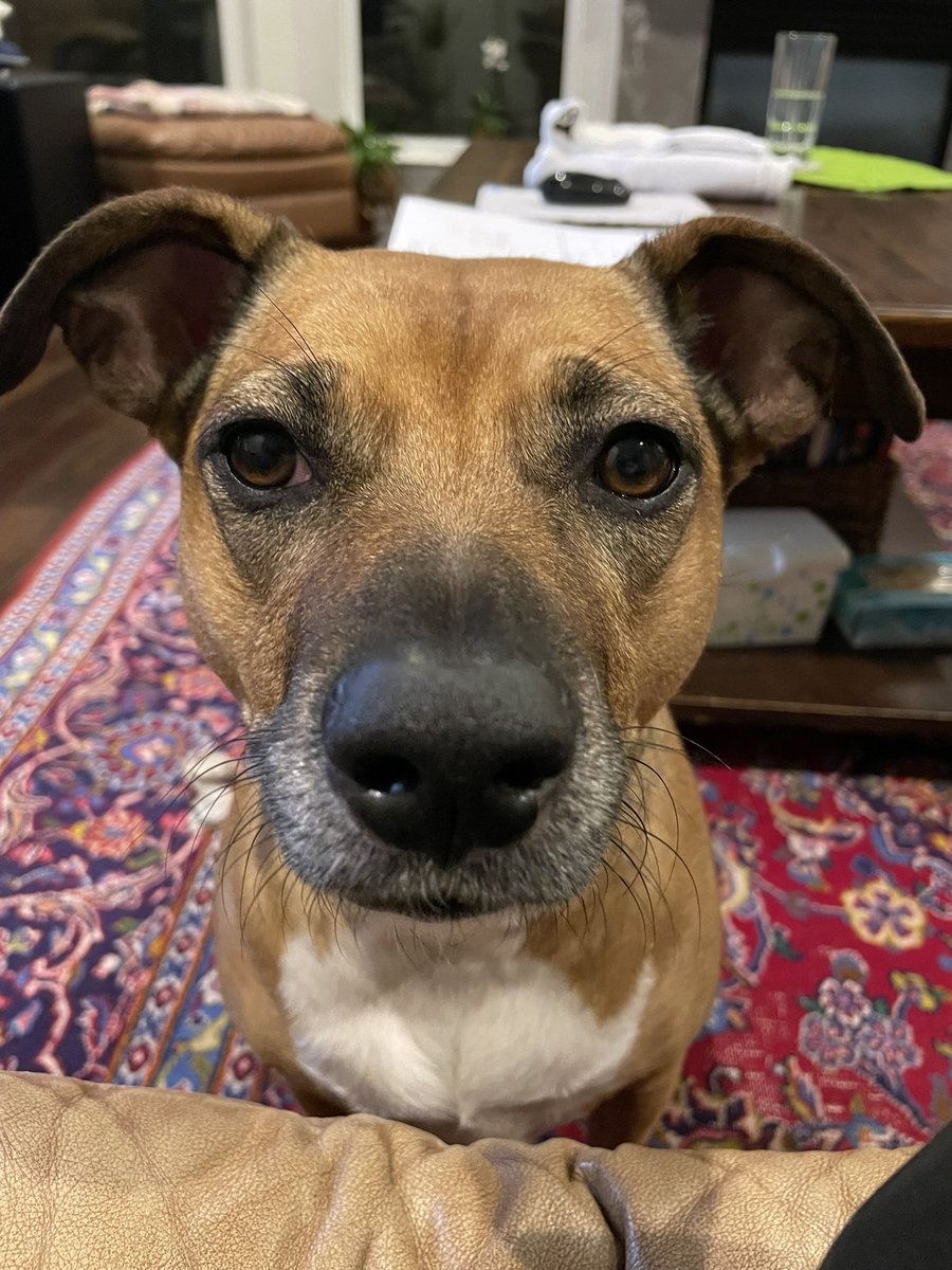 Richard Moreland tweet media