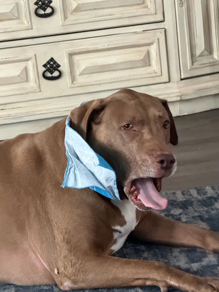 morrisoncrying tweet media