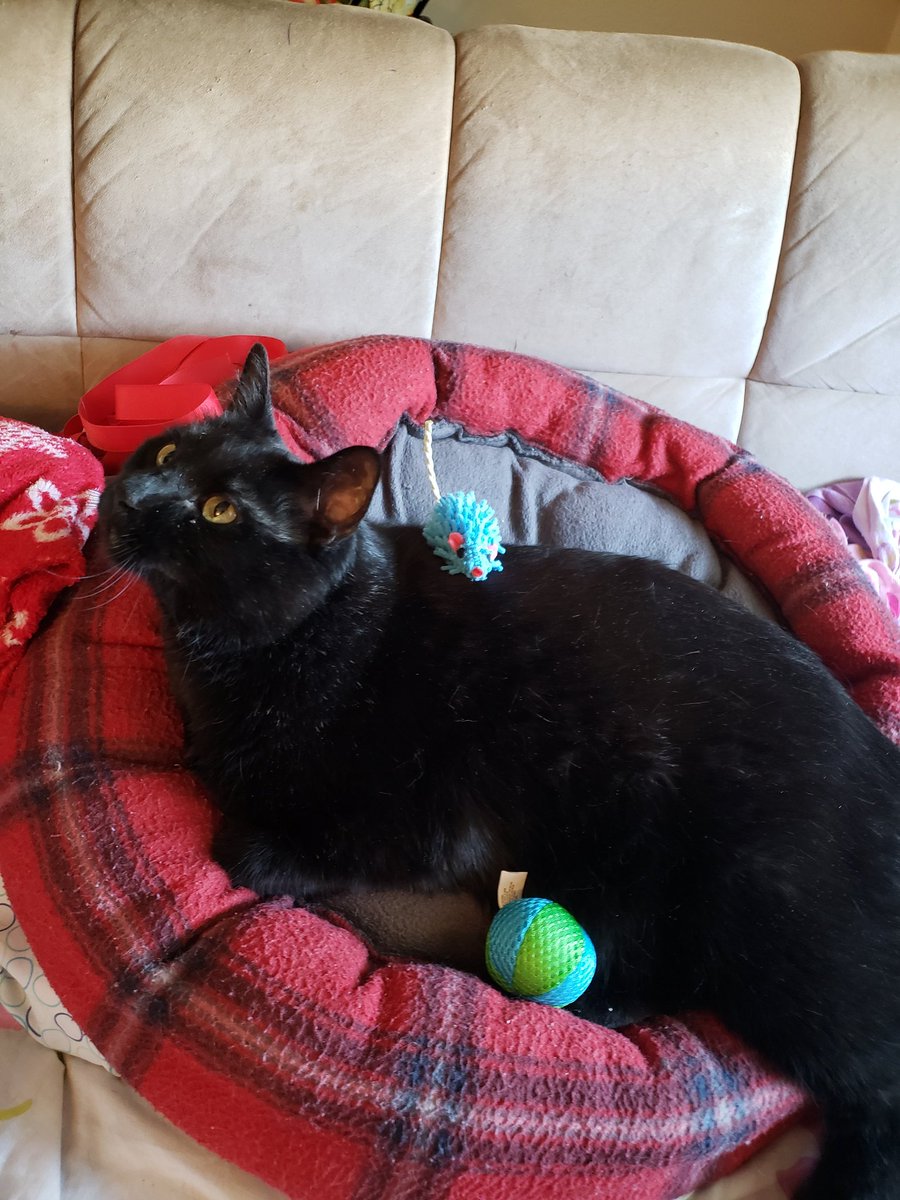 Angela Slotkin tweet media