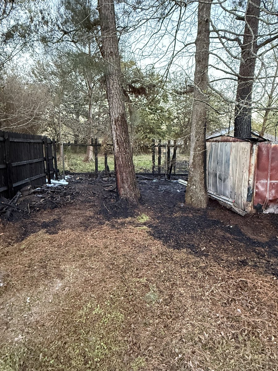 Green Wave Man tweet media