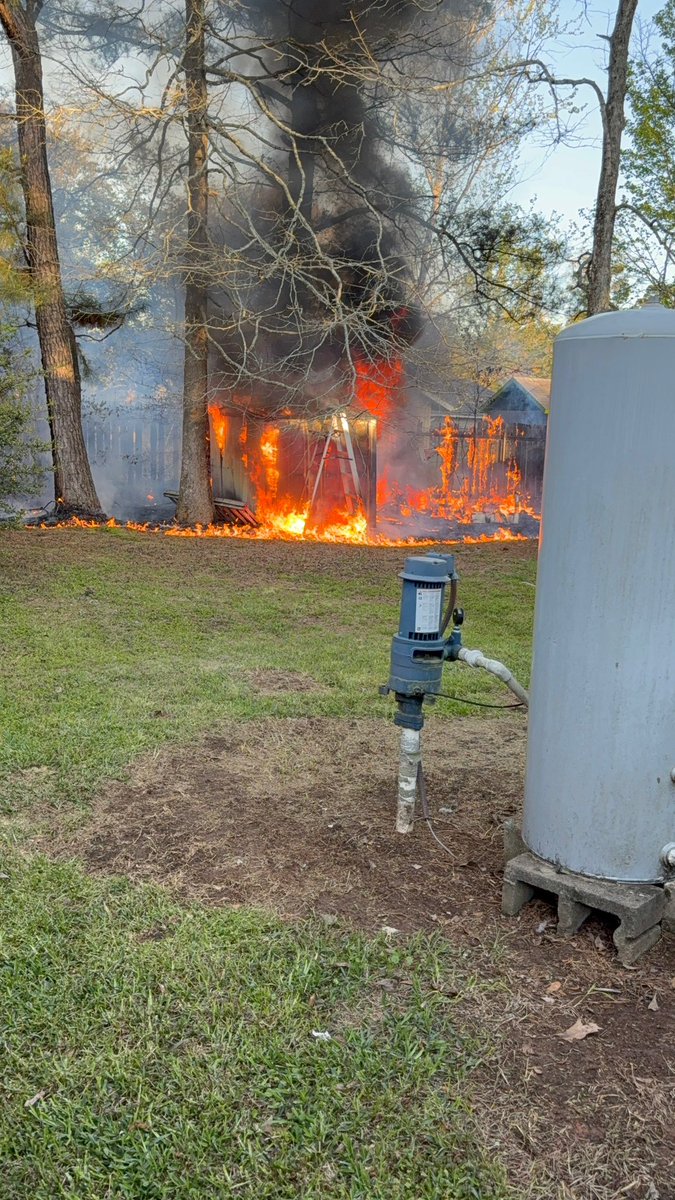 Green Wave Man tweet media