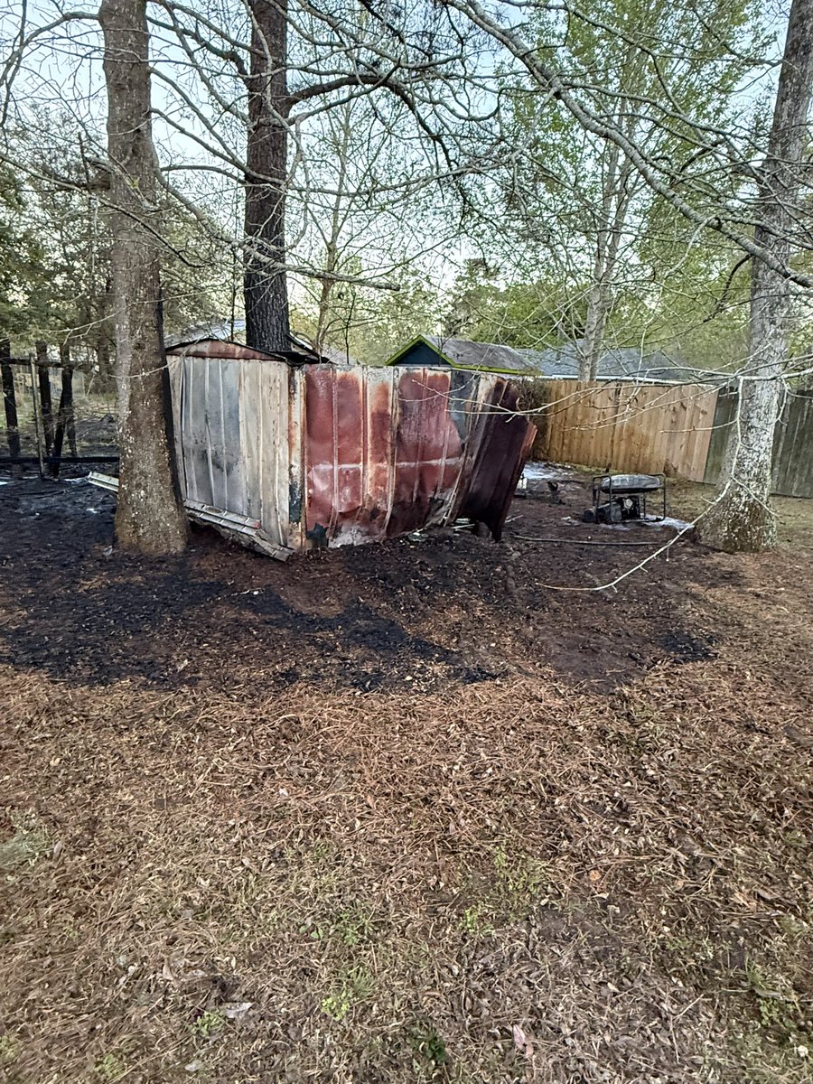 Green Wave Man tweet media