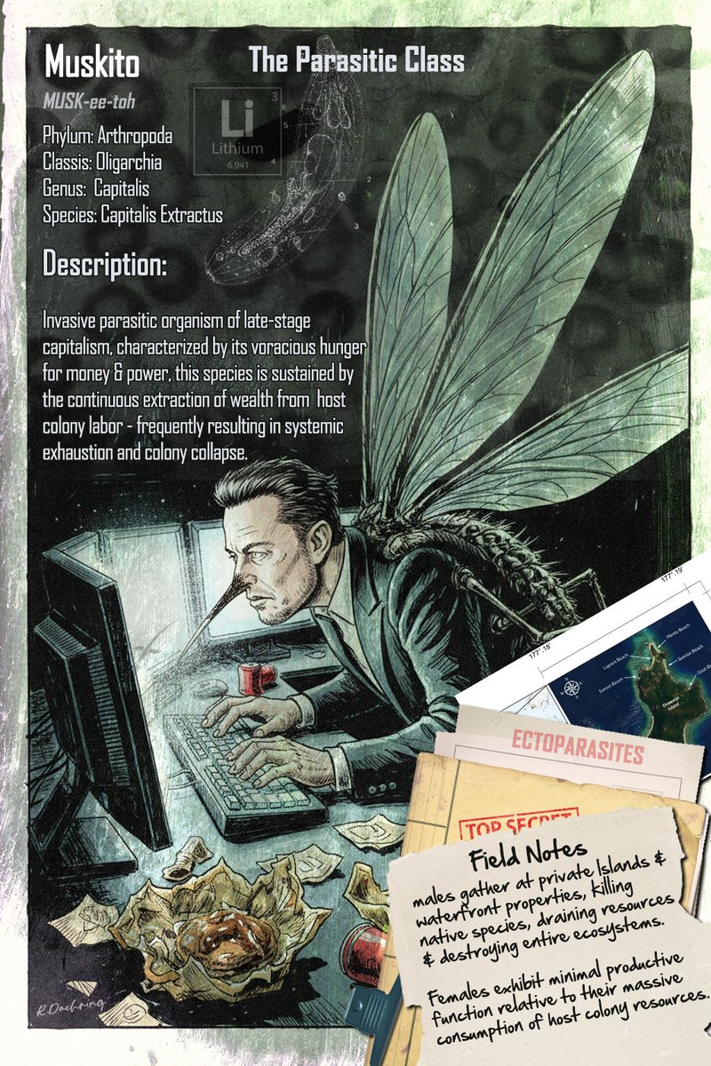 Lady Dragonfly tweet media