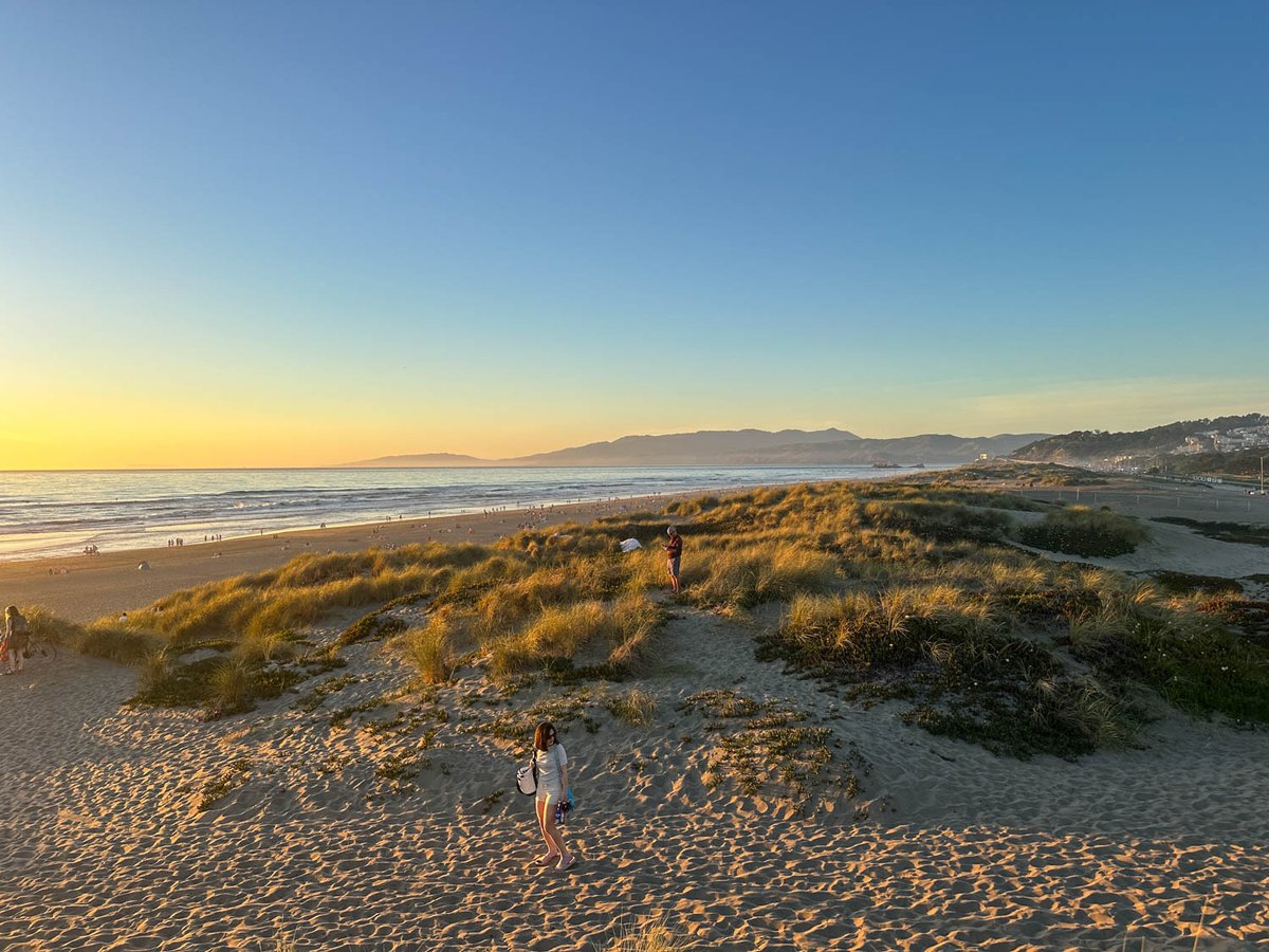 Virginia Miller tweet media