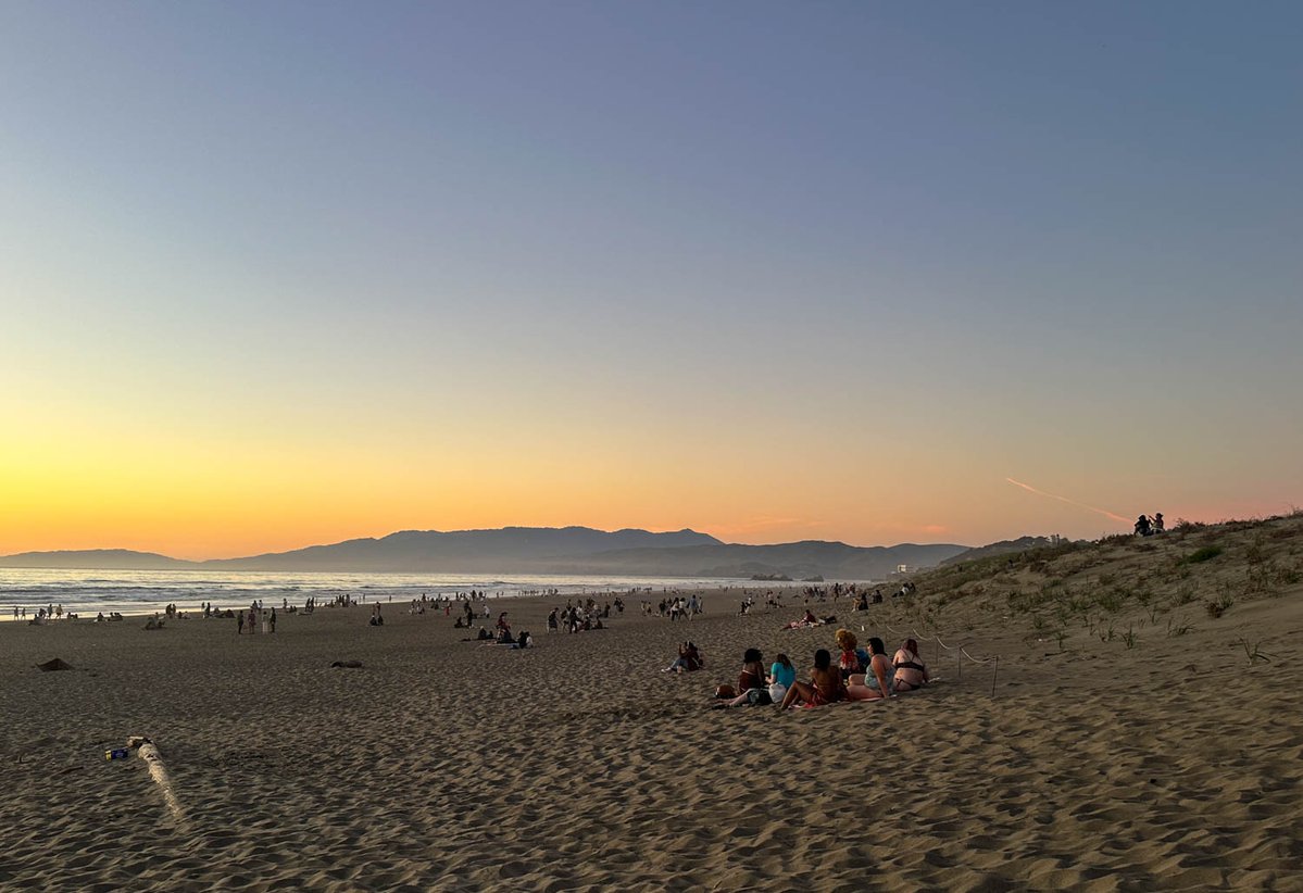 Virginia Miller tweet media