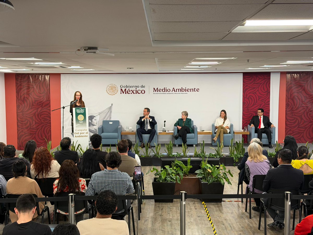 Mariana Boy tweet media