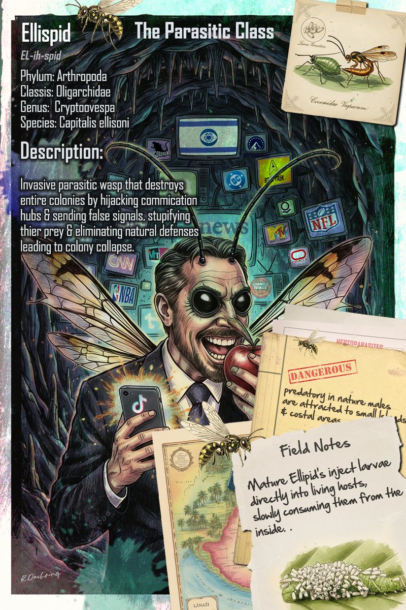 Lady Dragonfly tweet media