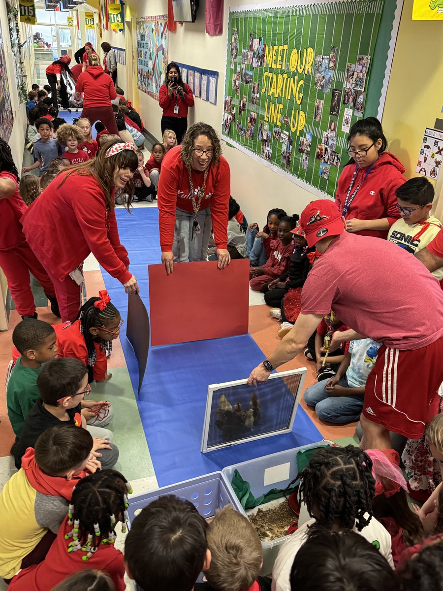 Ryan Stein tweet media