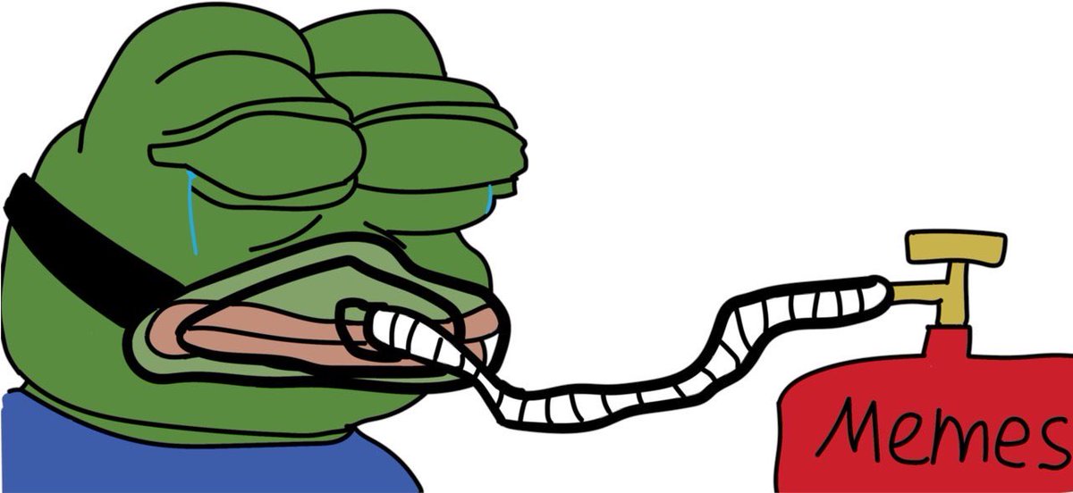 🇺🇸Meme War Veteran 🇺🇸 tweet media