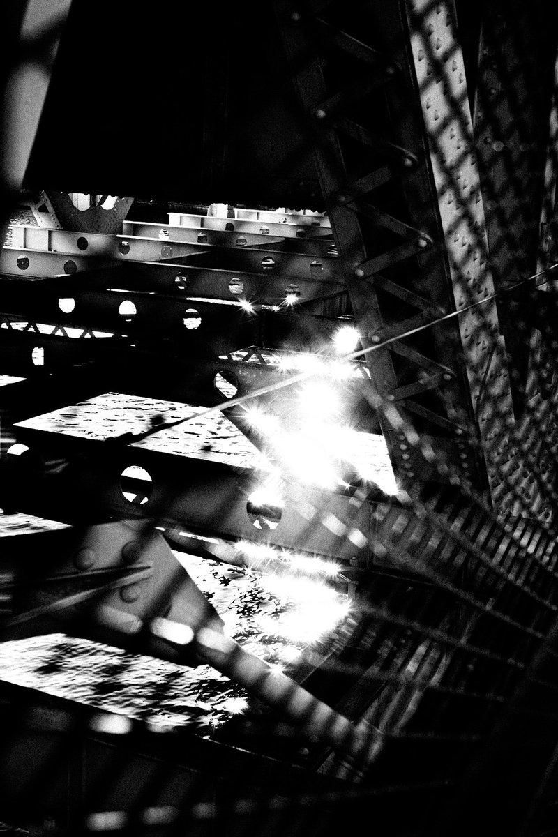 Kiyonosuke Kawamura tweet media