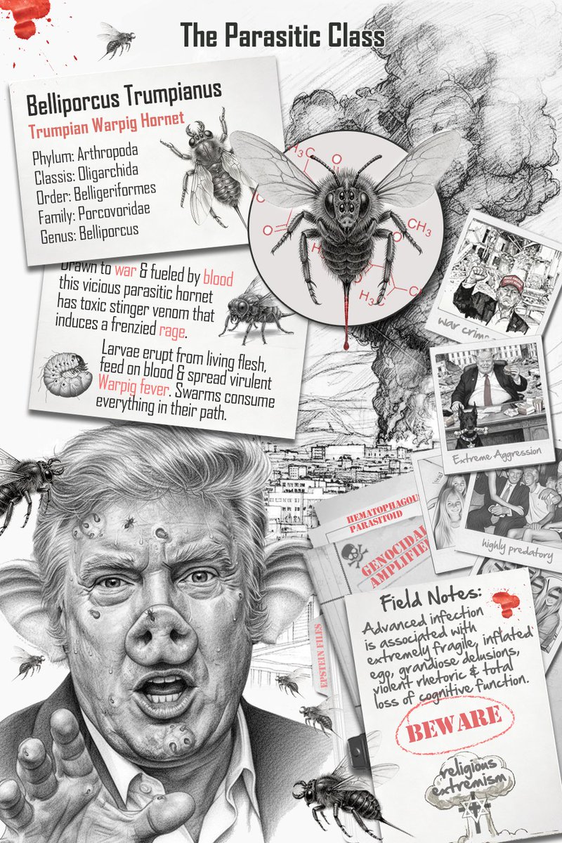 Lady Dragonfly tweet media