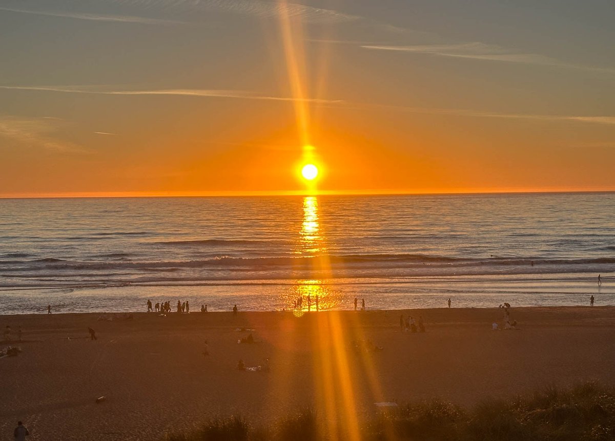 Virginia Miller tweet media