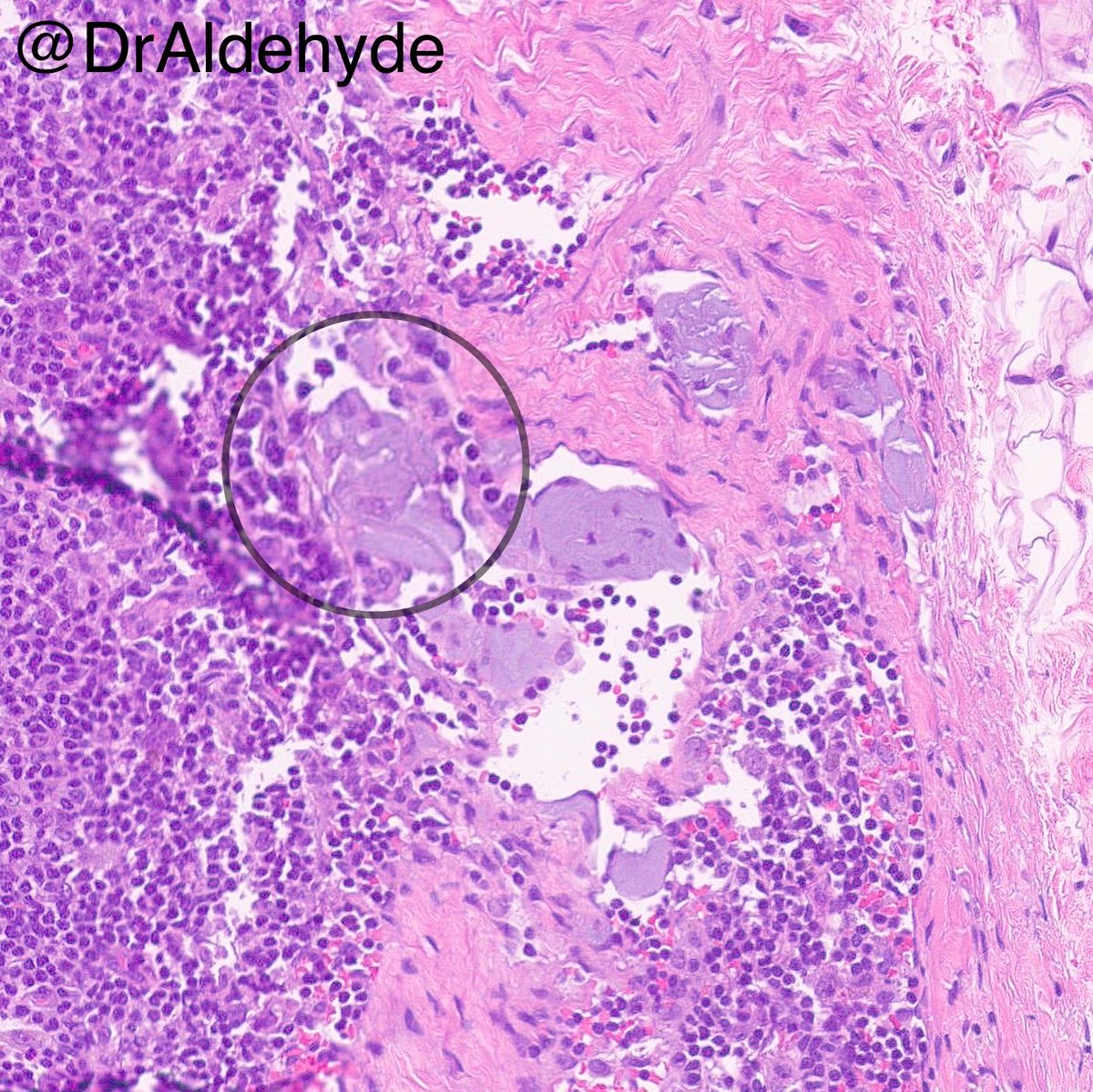 Woo Cheal Cho, MD tweet media