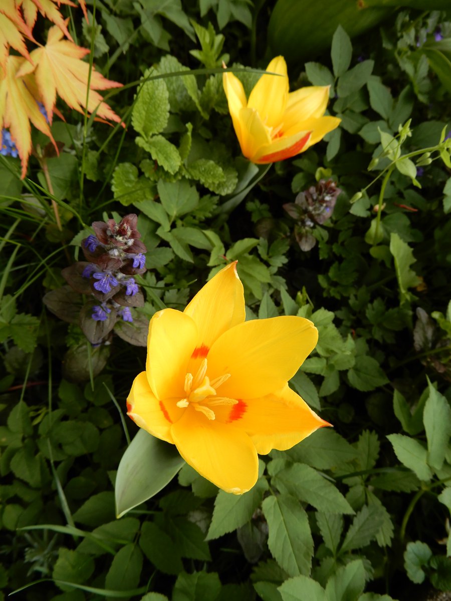 ❀❀❀ Valerija ❀❀❀🙏🏻☮️ tweet media