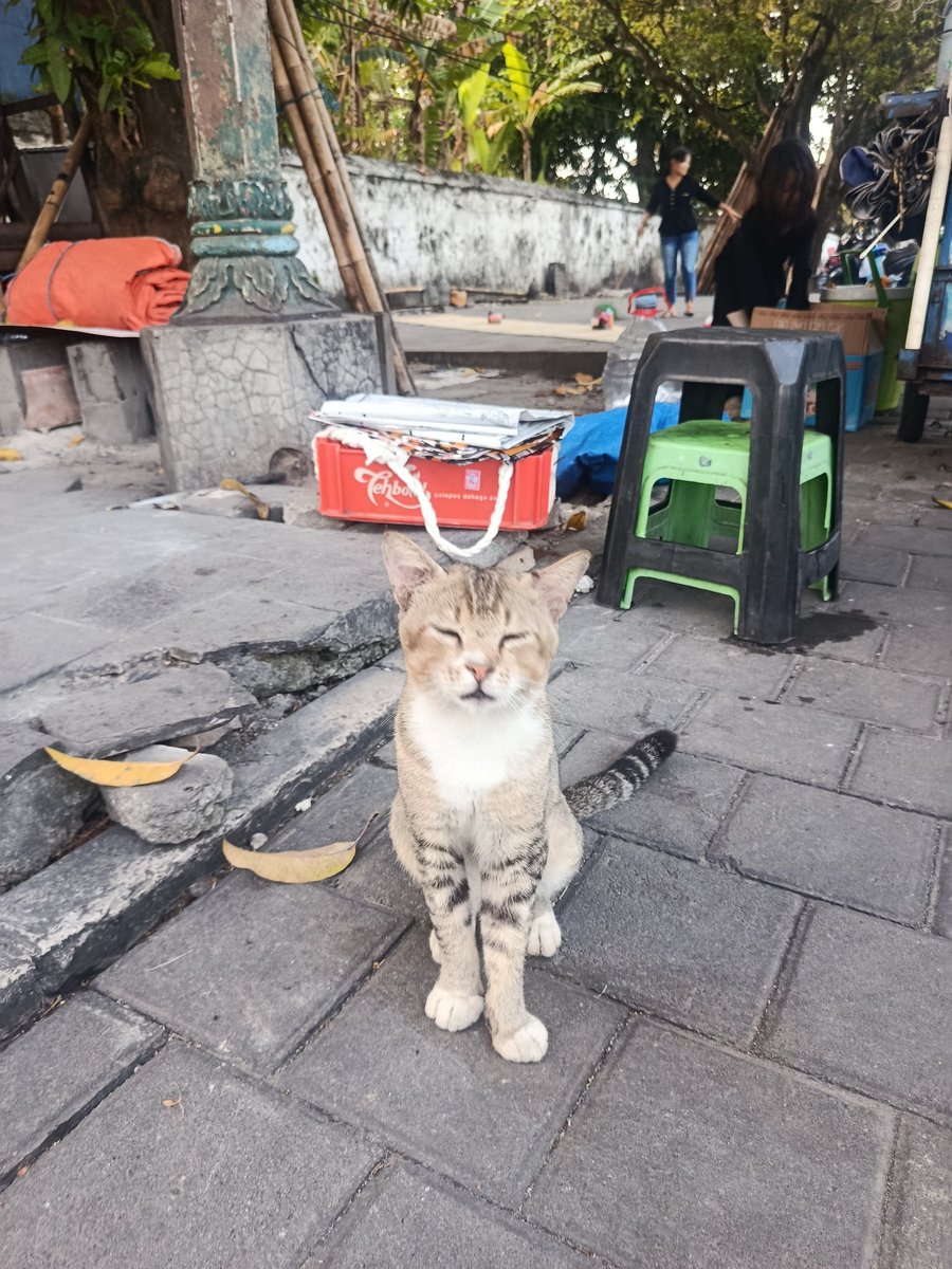 Starry Night 💤 tweet media