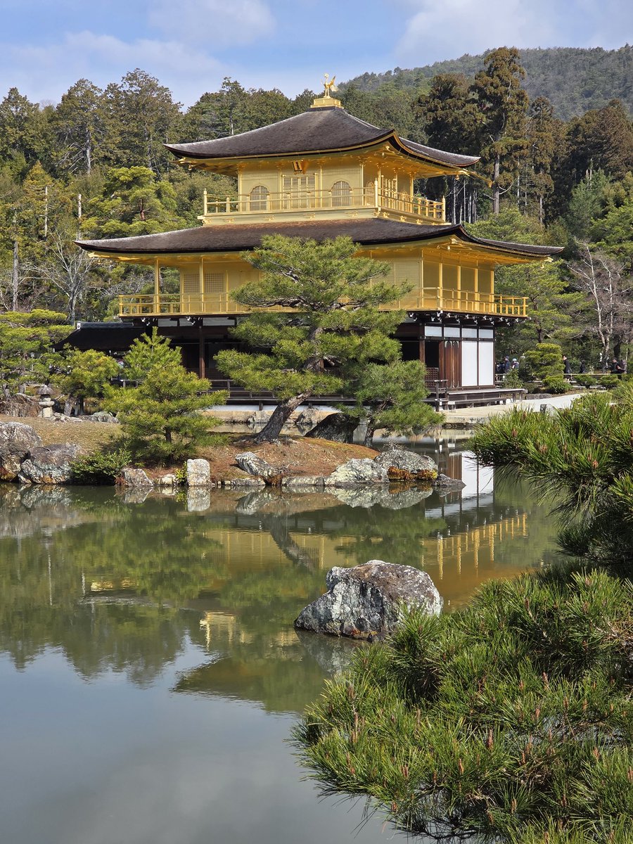 雪△🐰 tweet media