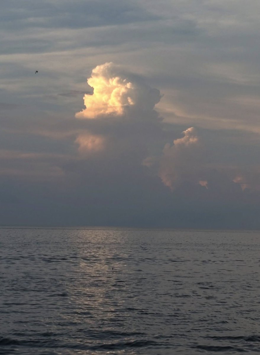 A💋🪩 tweet media