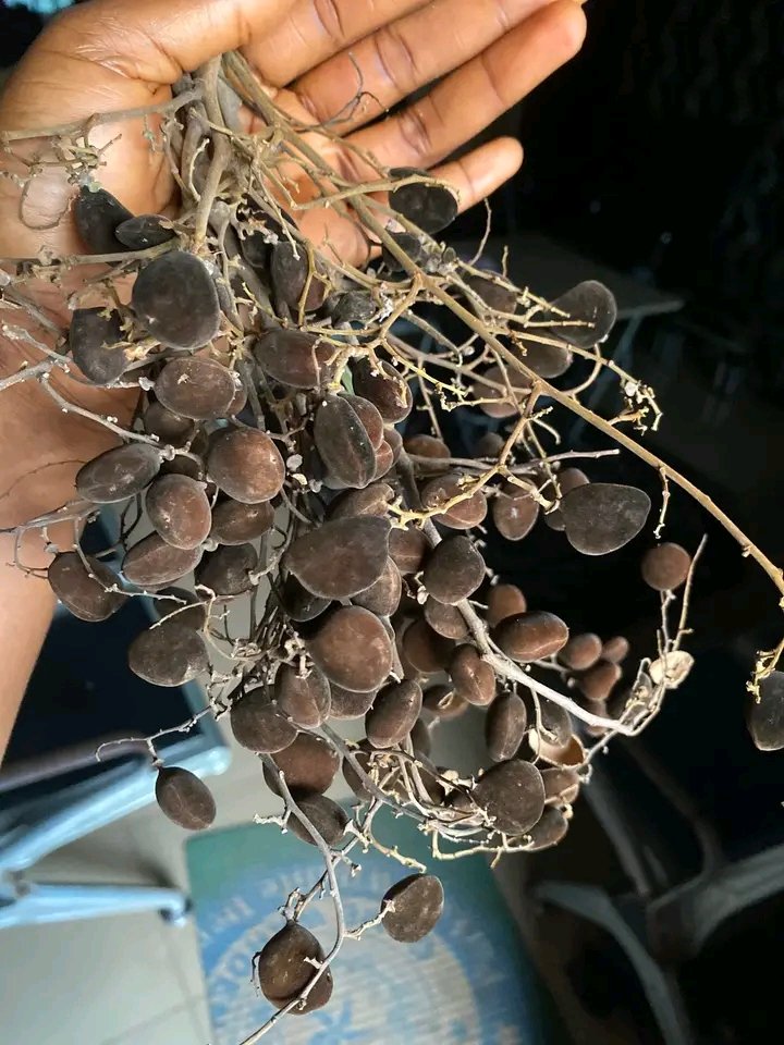 Kev-さん tweet media