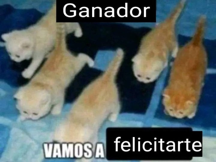 EdwarPlay tweet media