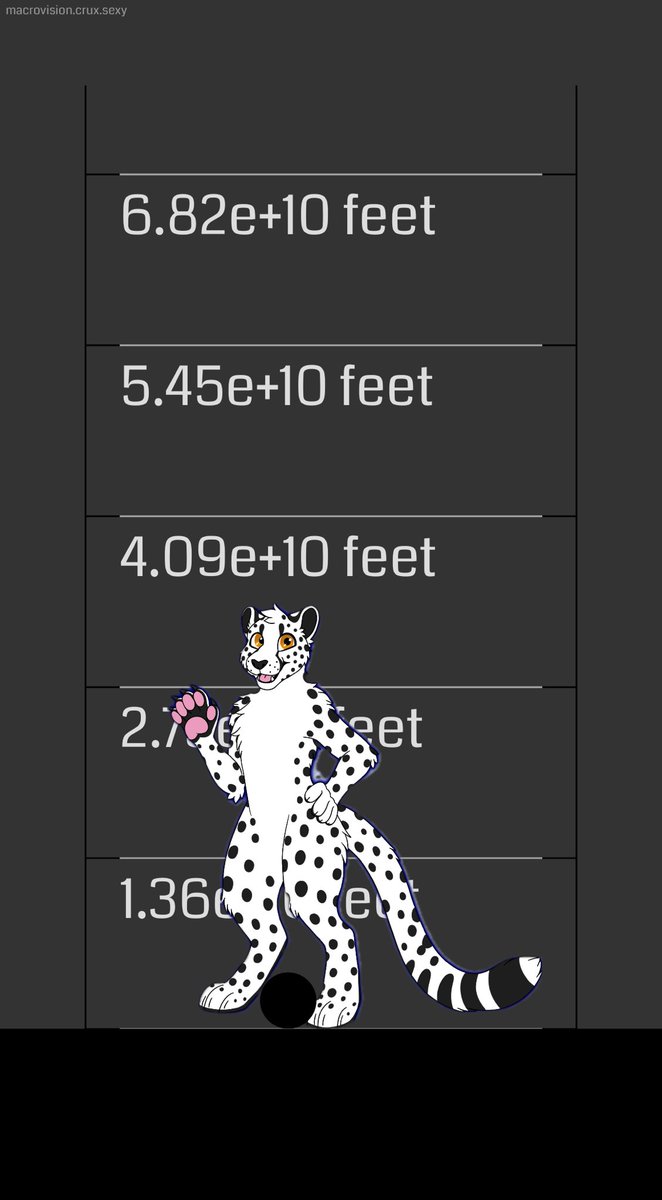 Elliot The Giant Cheetah🐾 tweet media