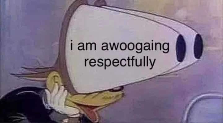 Glockymolo 🥑 tweet media