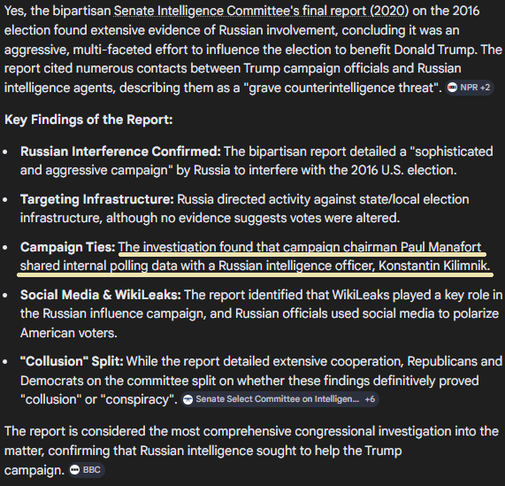 TrumpEpstein2028 tweet media