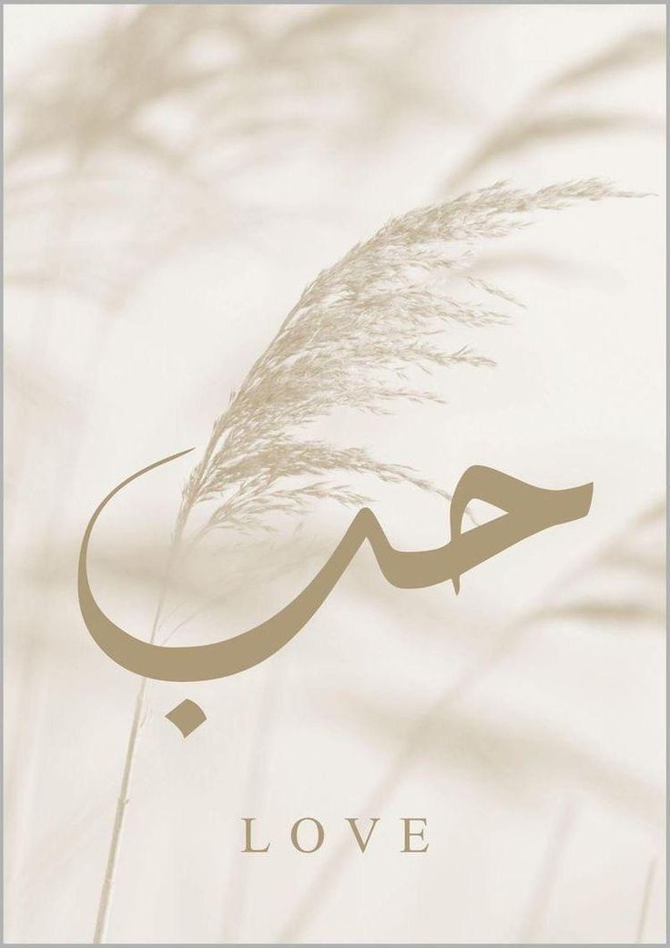 حُب 💛 tweet media