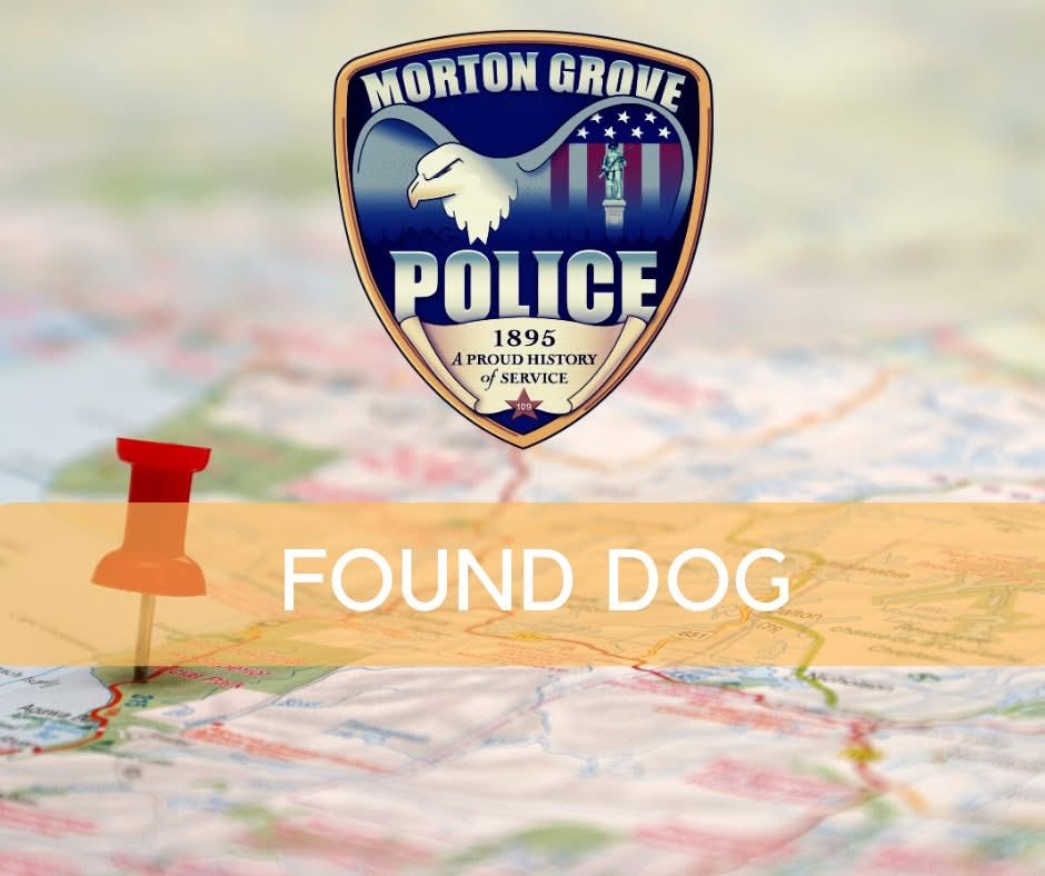 Morton Grove Police tweet media