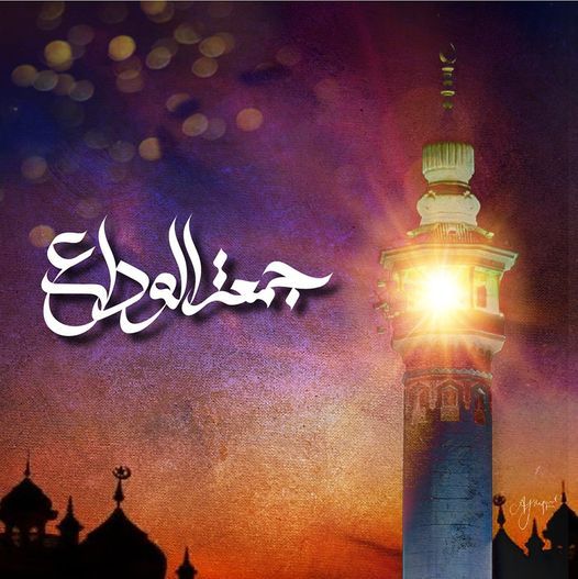 رشک ناہید tweet media