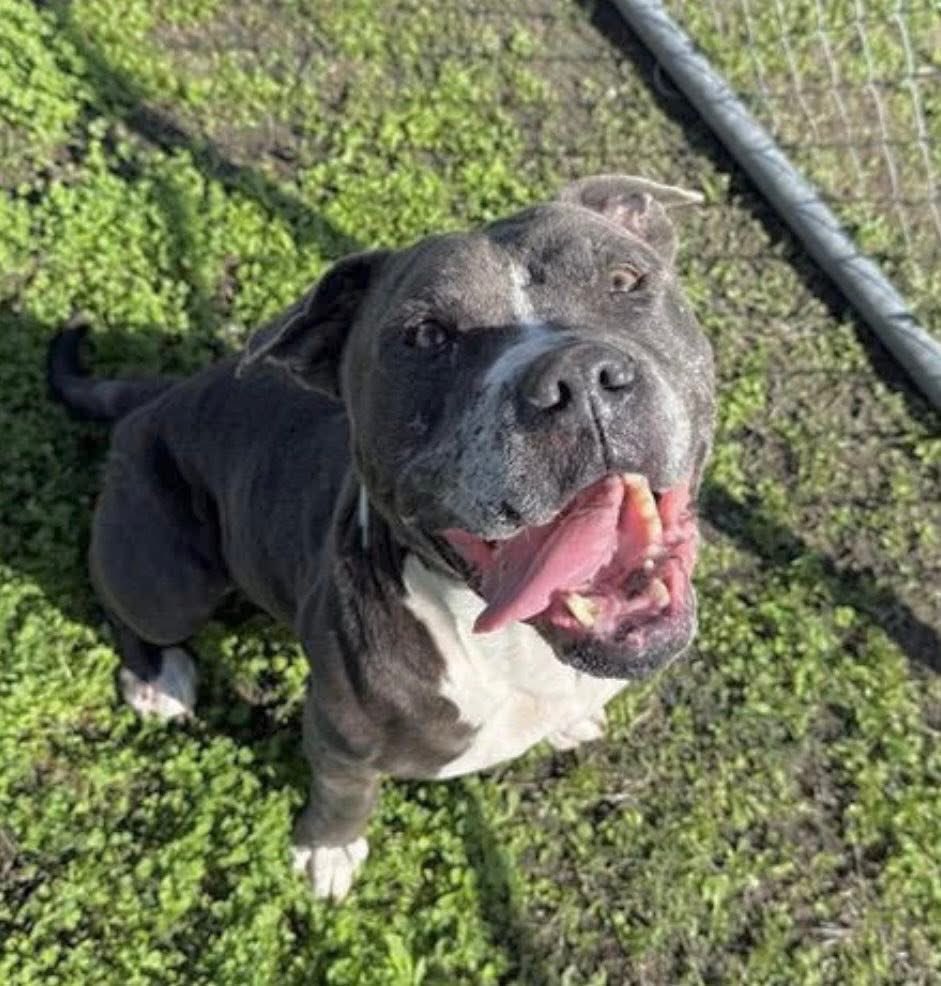 Lisa Brabson. tweet media