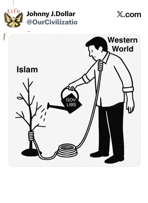 Armin Kiani | Finance tweet media