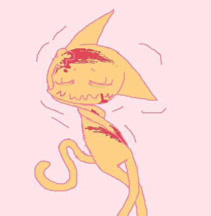 Shelley Zedkat tweet media