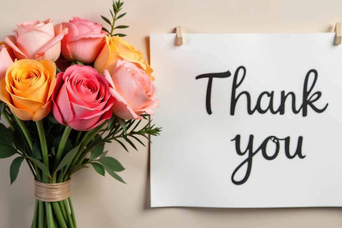 Reddy Gives tweet media