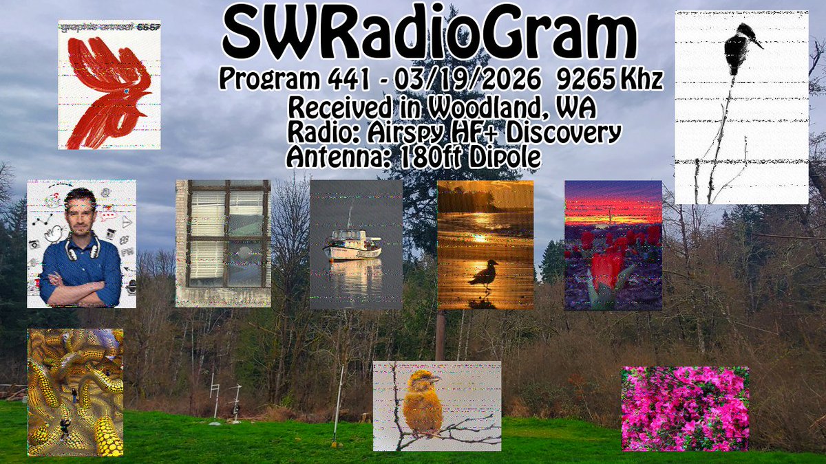 H0b0_Radio tweet media