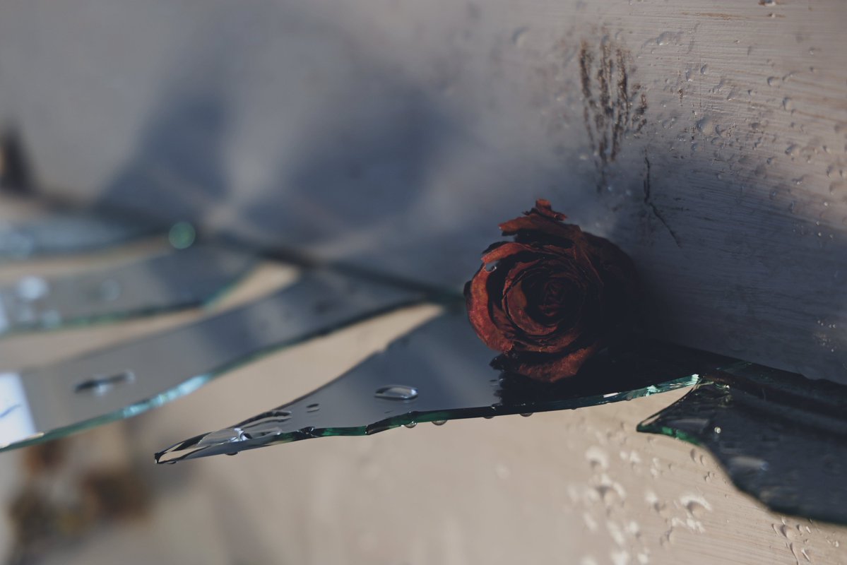 Emma Samuel (.eth/.tez/.sol) tweet media