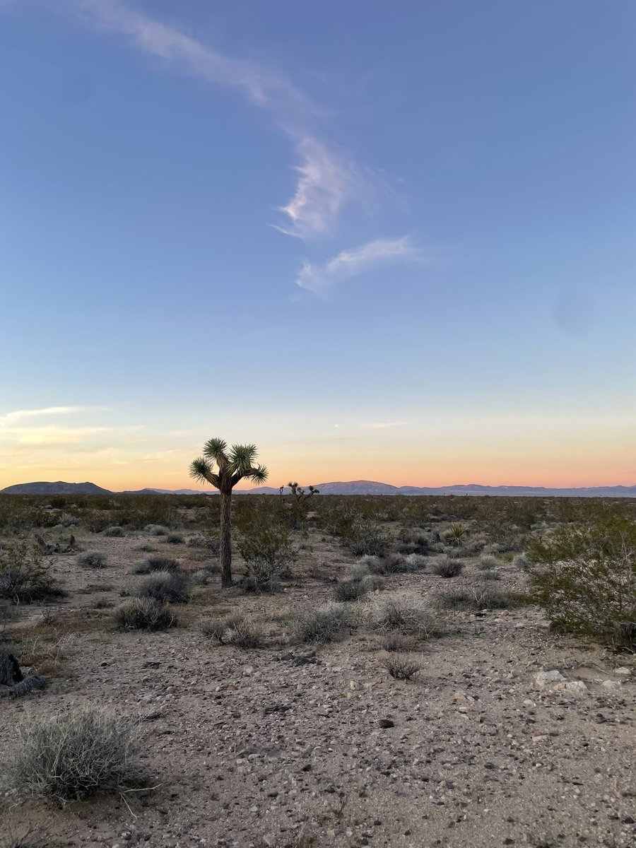 JRFFDynasty tweet media