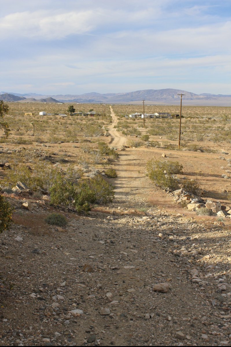 JRFFDynasty tweet media