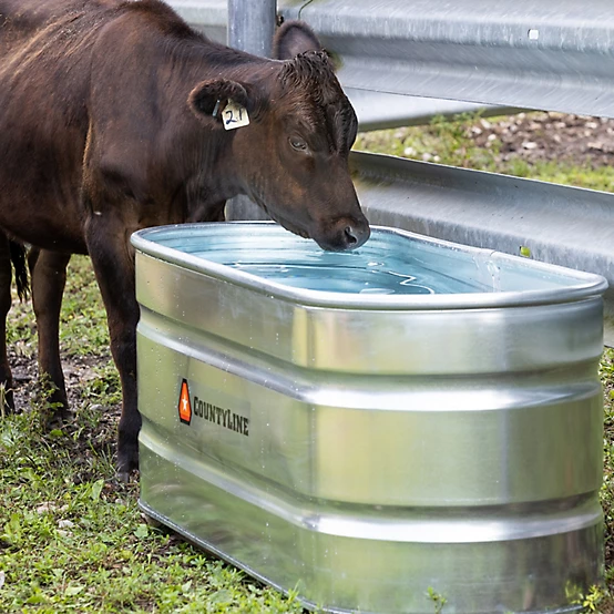 Jim Rockford's Answering Machine 🇵🇸 tweet media