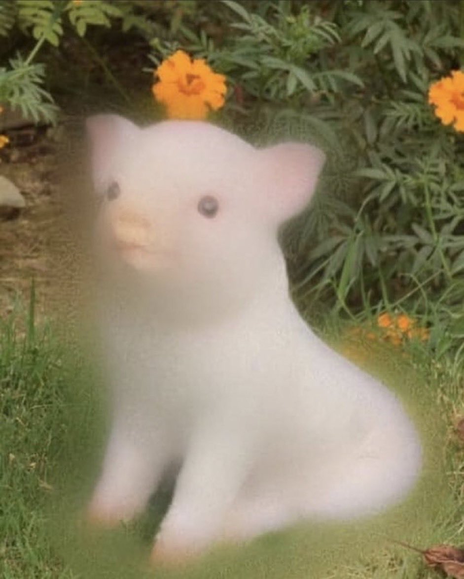 Briar Blush tweet media