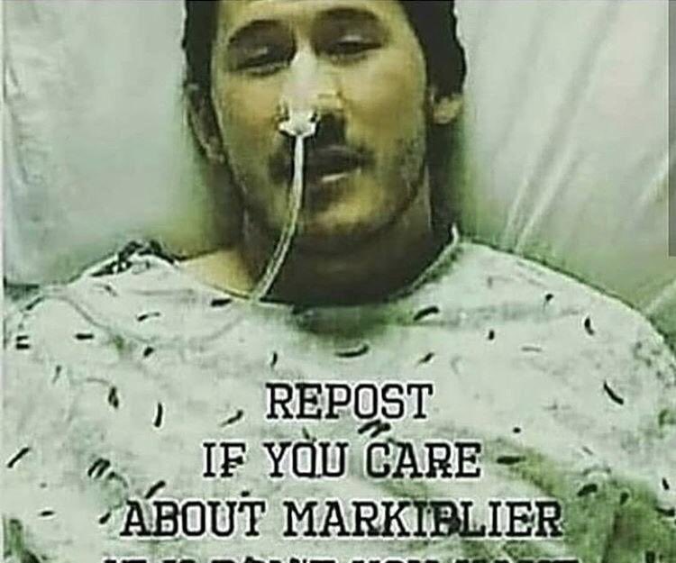 joseph 🐯 tweet media