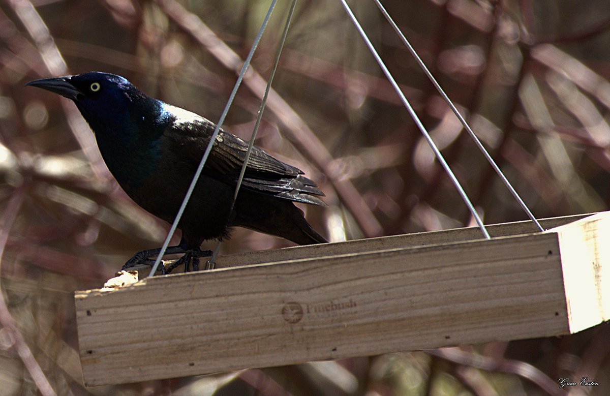 Life's a Beach tweet media