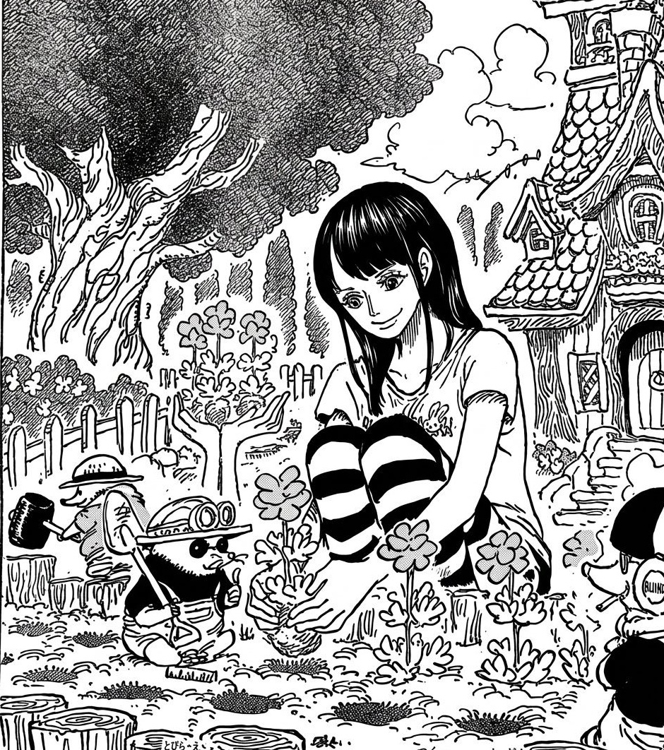 Nico Robin Content tweet media