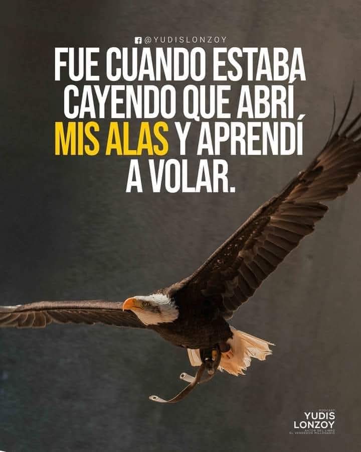 Ramon Murillo (@ramonmu14867811) on Twitter photo 